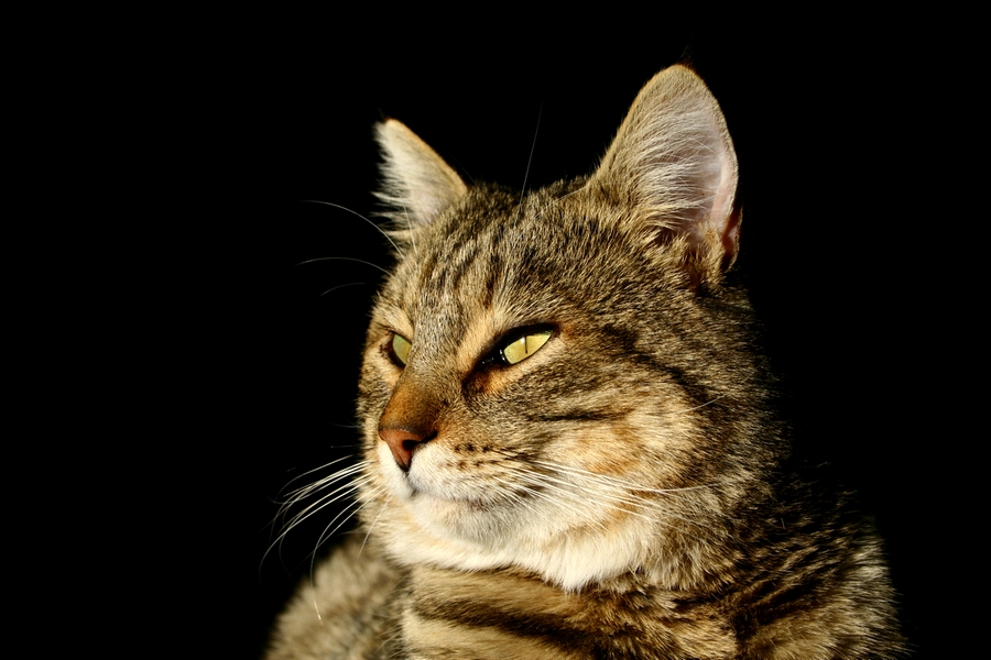 soggetto inflazionato