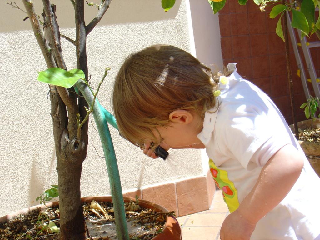 Basta tu! Tocca a me!!!