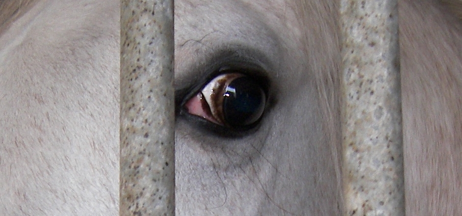 Equinocchio di autunno