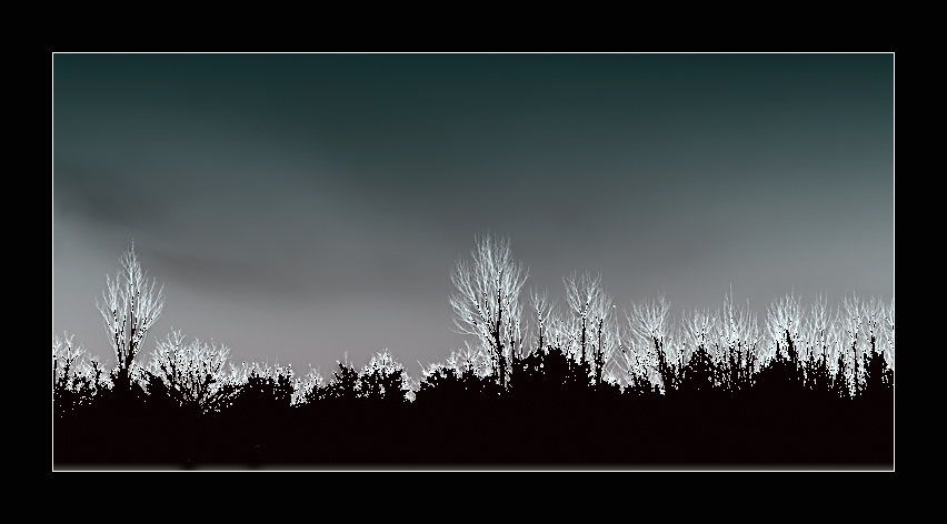 Mi � venuta cos�...