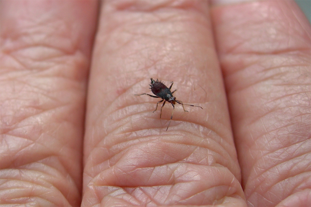 Posatoio a portata di .......... mano