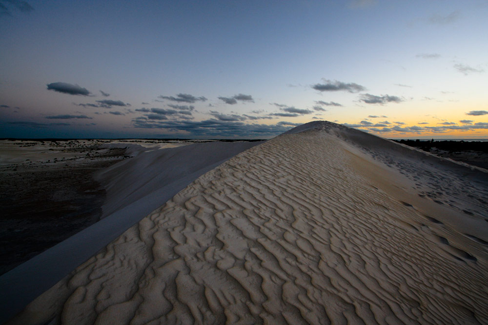 Dunes #4