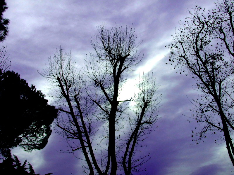 Nuvole