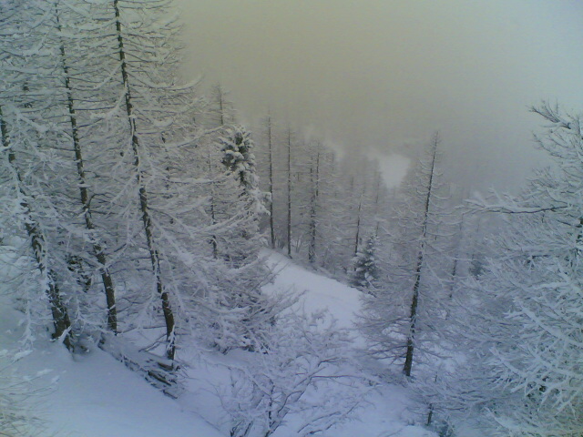 alberi innveti a prali