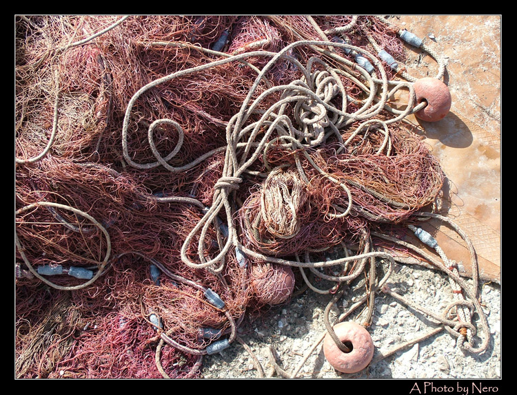 Delle reti tristi di mio padre