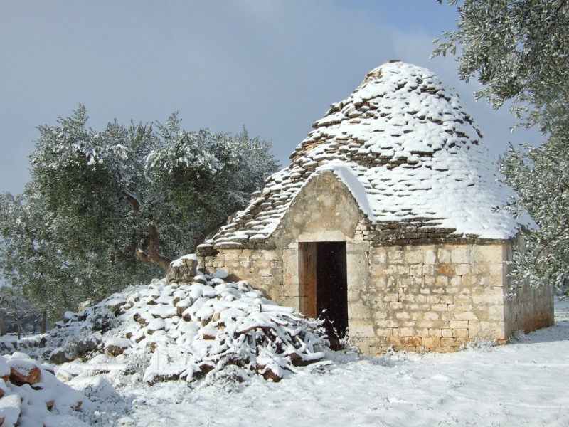 Pi� unico che raro...