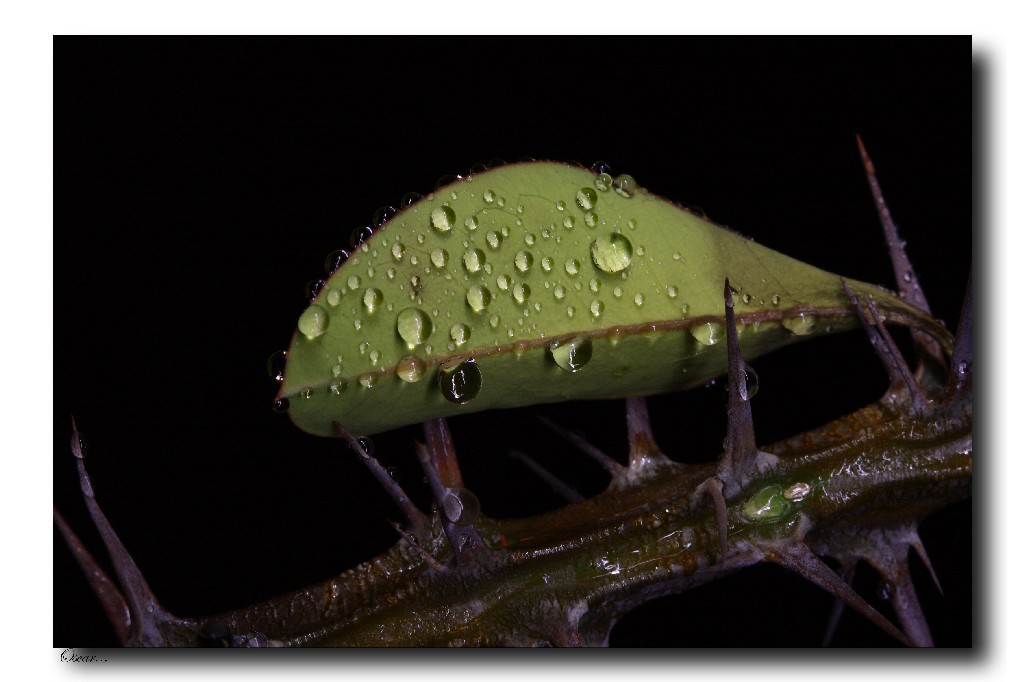 non tenermi sulle spine...