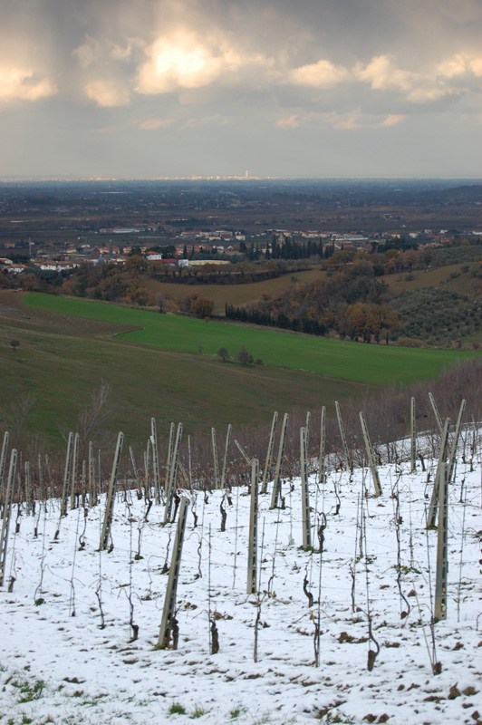 neve sui colli