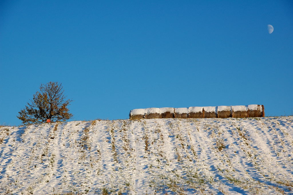 lune di fieno