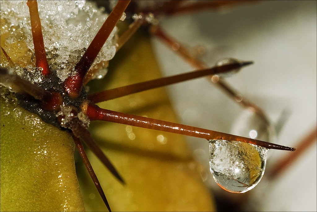 L'Inverno sta arrivando
