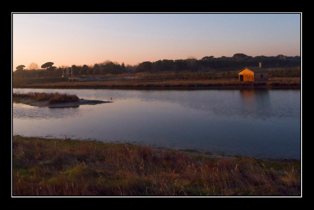 Una casetta in pineta