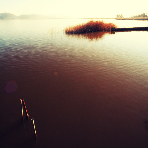 Torre del Lago Puccini #1