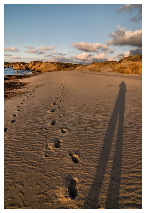 Il gigante e il mare