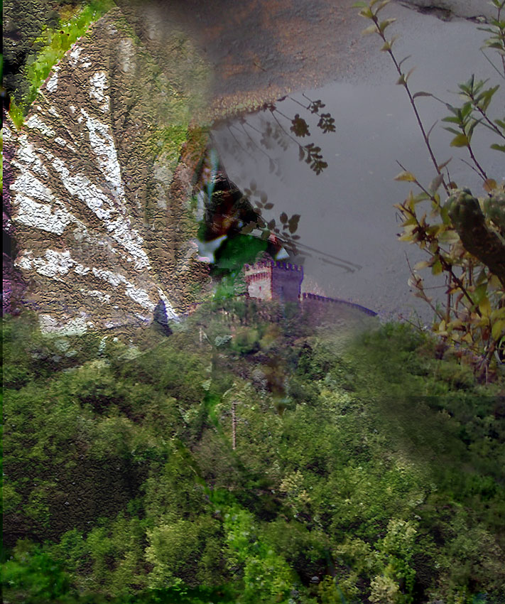 Confusione d' immagini