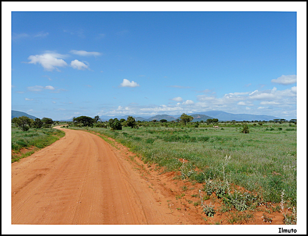 I colori della Savana