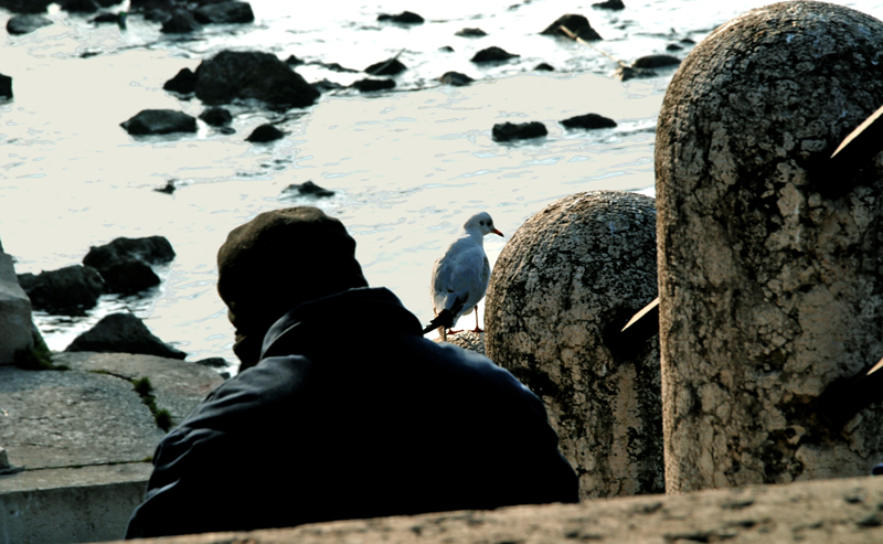 Il risveglio del barbone