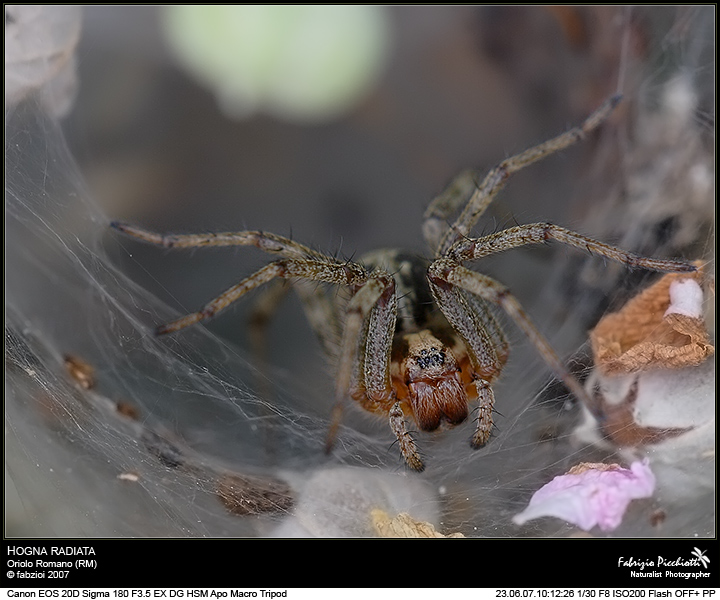 Inferno, Canto III, vv. 1-9