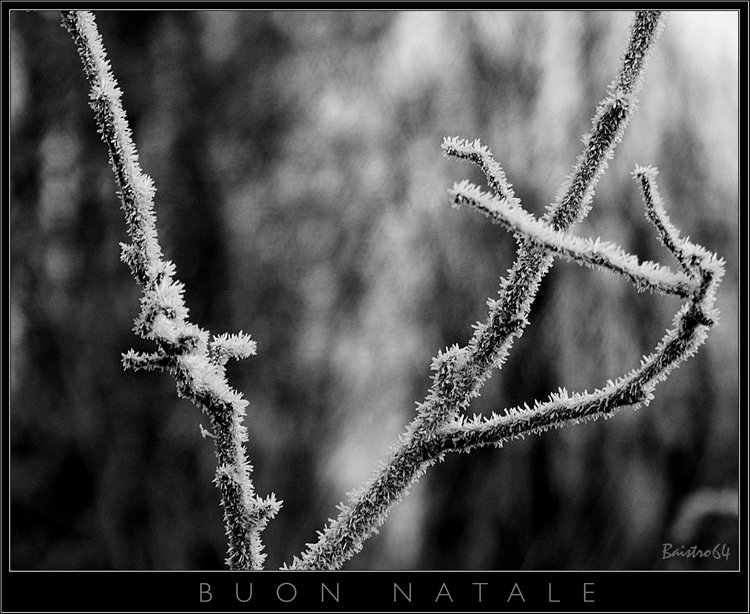 Buon Natale