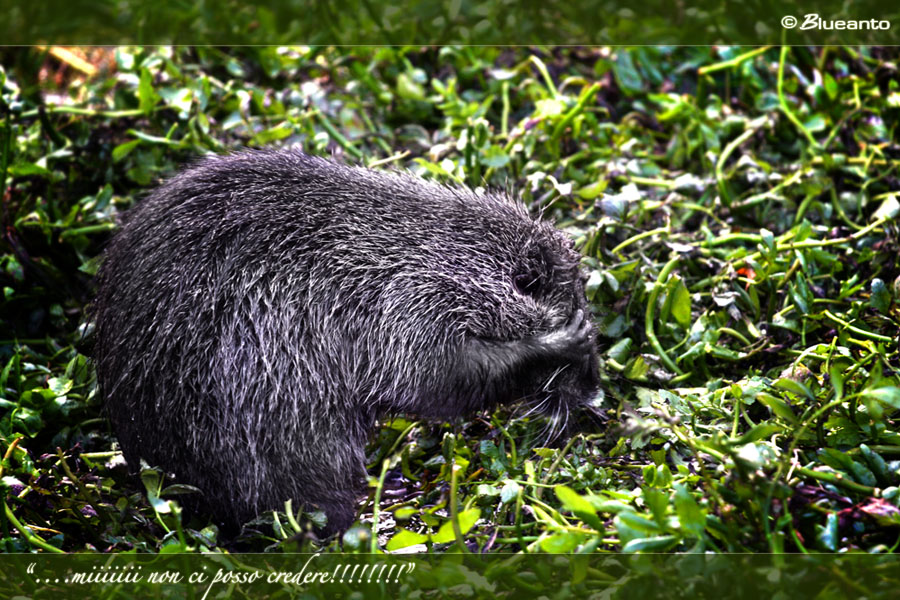 miii non ci posso credere!!!