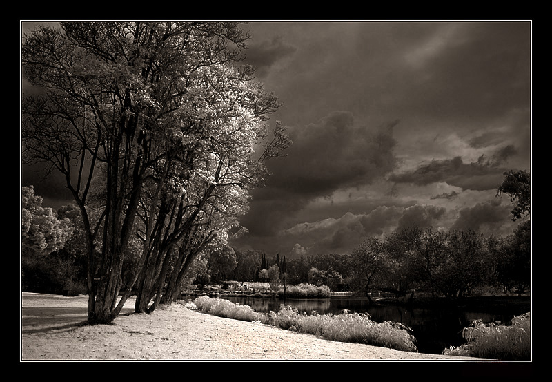 Frozen Winter Moonlight