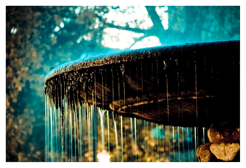 Parco Massari - Fontana - Ferrara