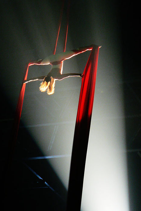 piccola stella senza cielo