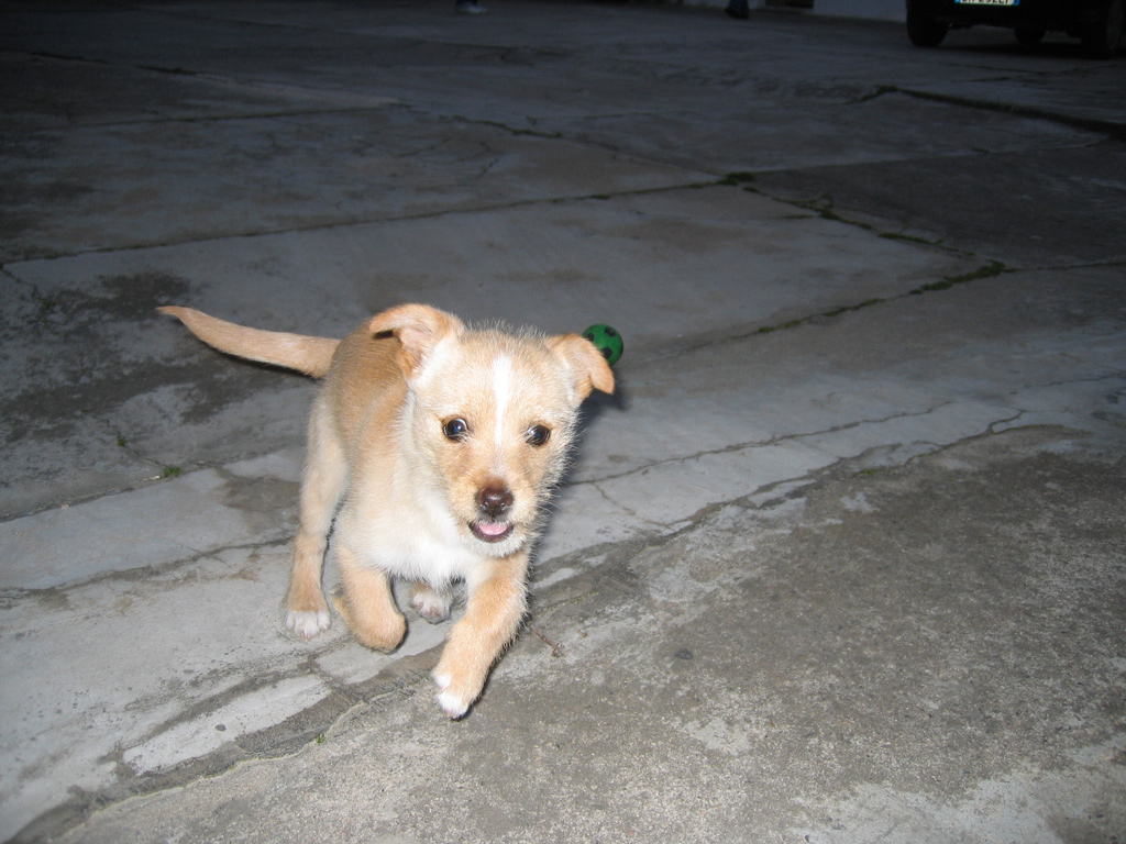 Lilla