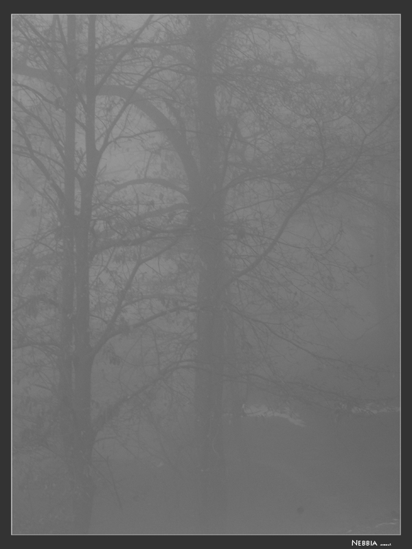 Nebbia