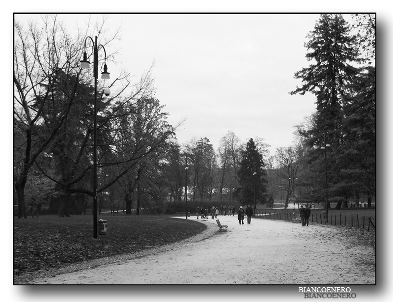 ::: COPPIE AL PARCO :::