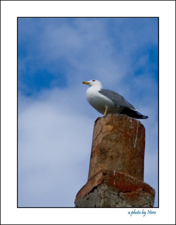 Il Guardiano della Soglia