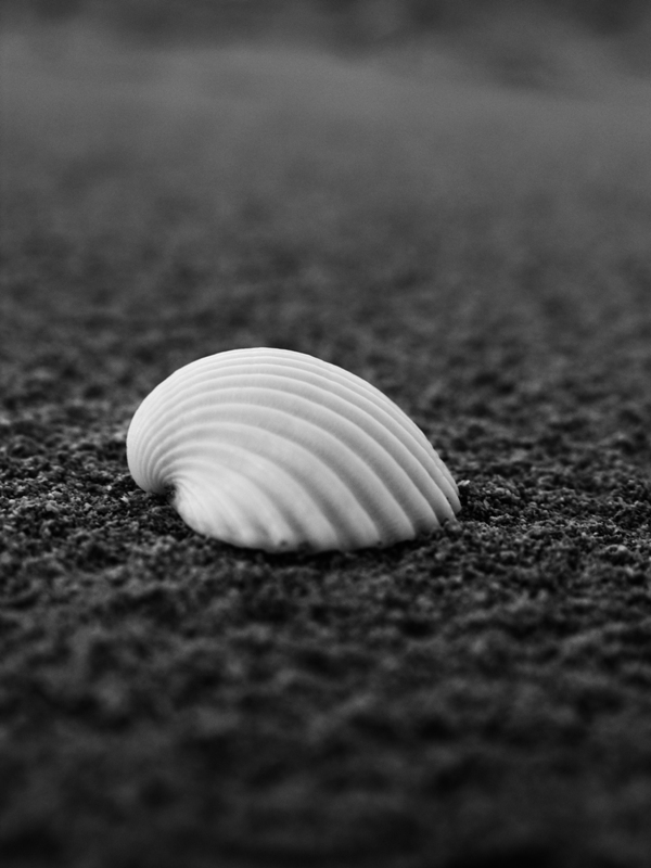 lezioni di profondit� di campo