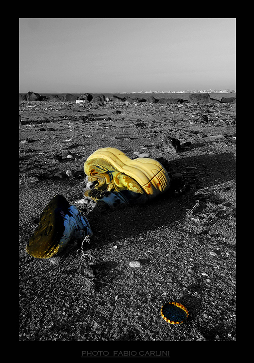 le nostre coste come i nostri mari godono di ottima salute