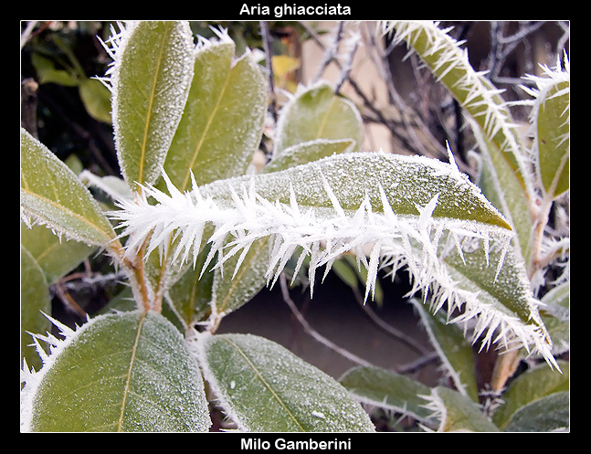 Aria ghiacciata
