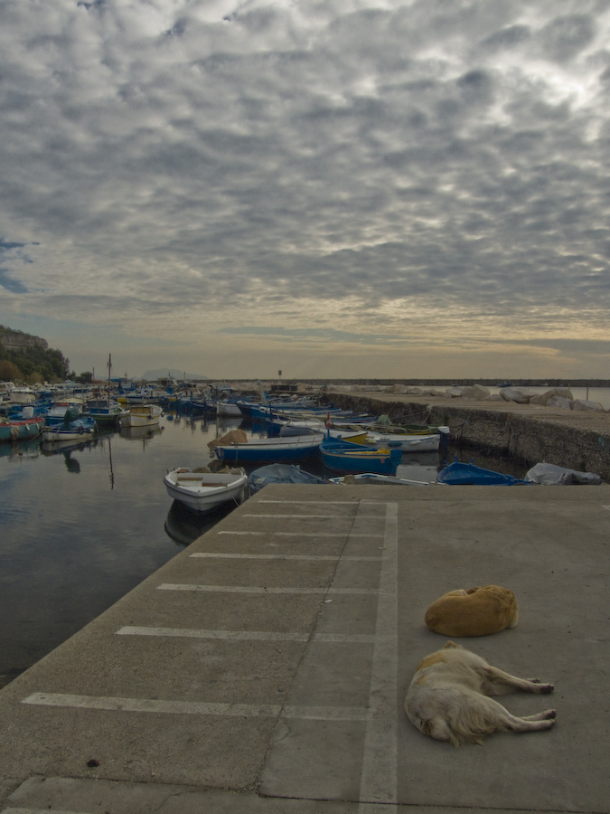 Lato Ascetico di un Giorno da Cani
