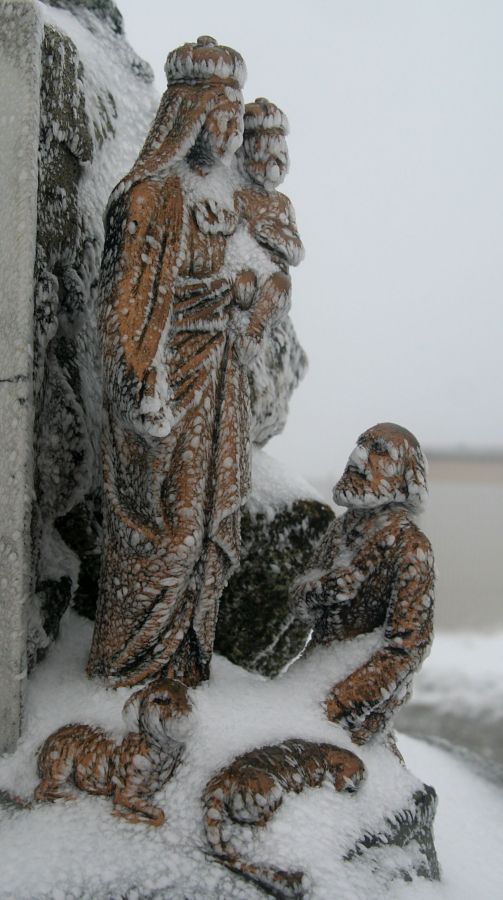 FA UN FREDDO DELLA MADONNA