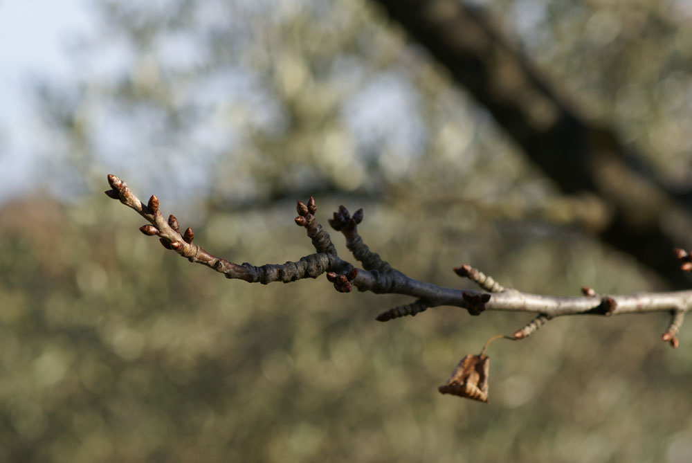 Il senso della vita...