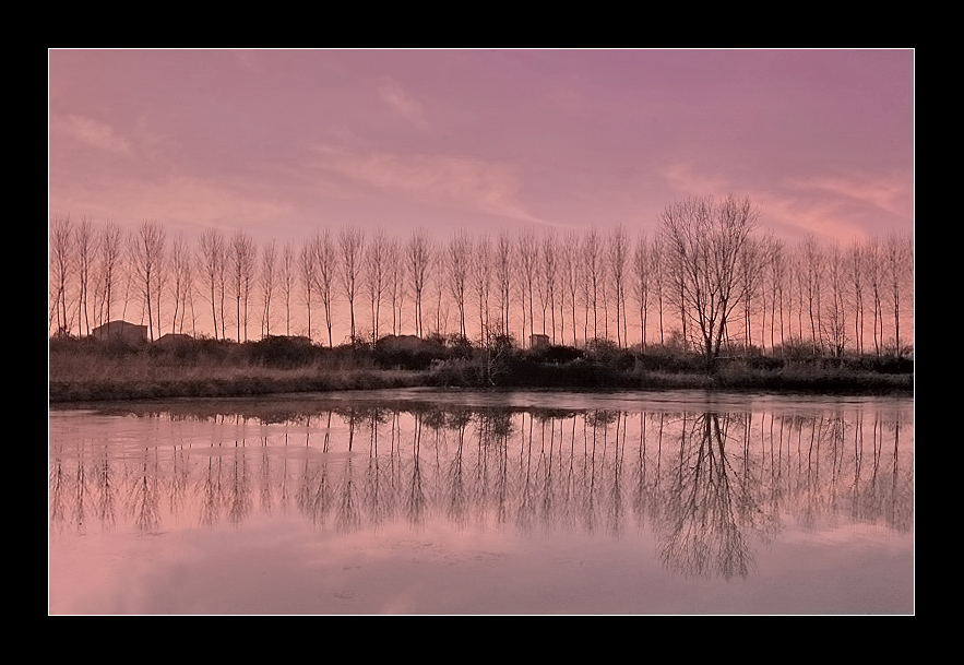 Qualcuno fuori dal coro