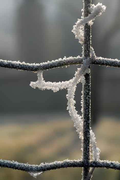 Arrampicatore sociale