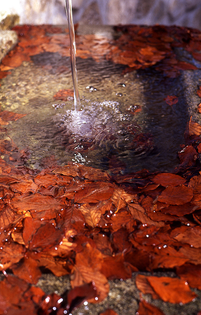 PRIMA CHE TUTTO SIA GHIACCIO