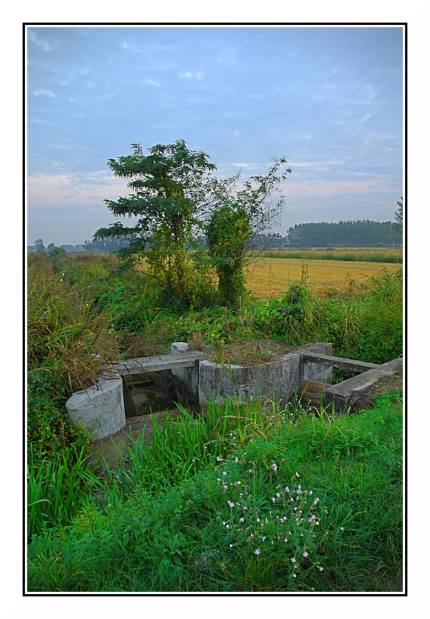 Nostalgia d'autunno - Colore