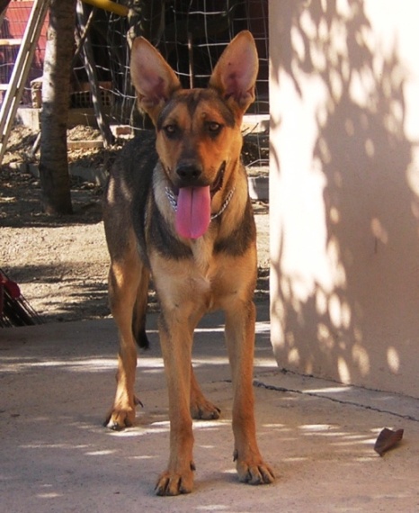 Kelly (Coolpix 2100)