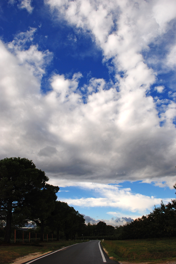 Verso il cielo ed i suoi colori