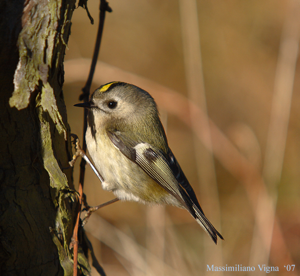 Cincia di poche ore fa'!