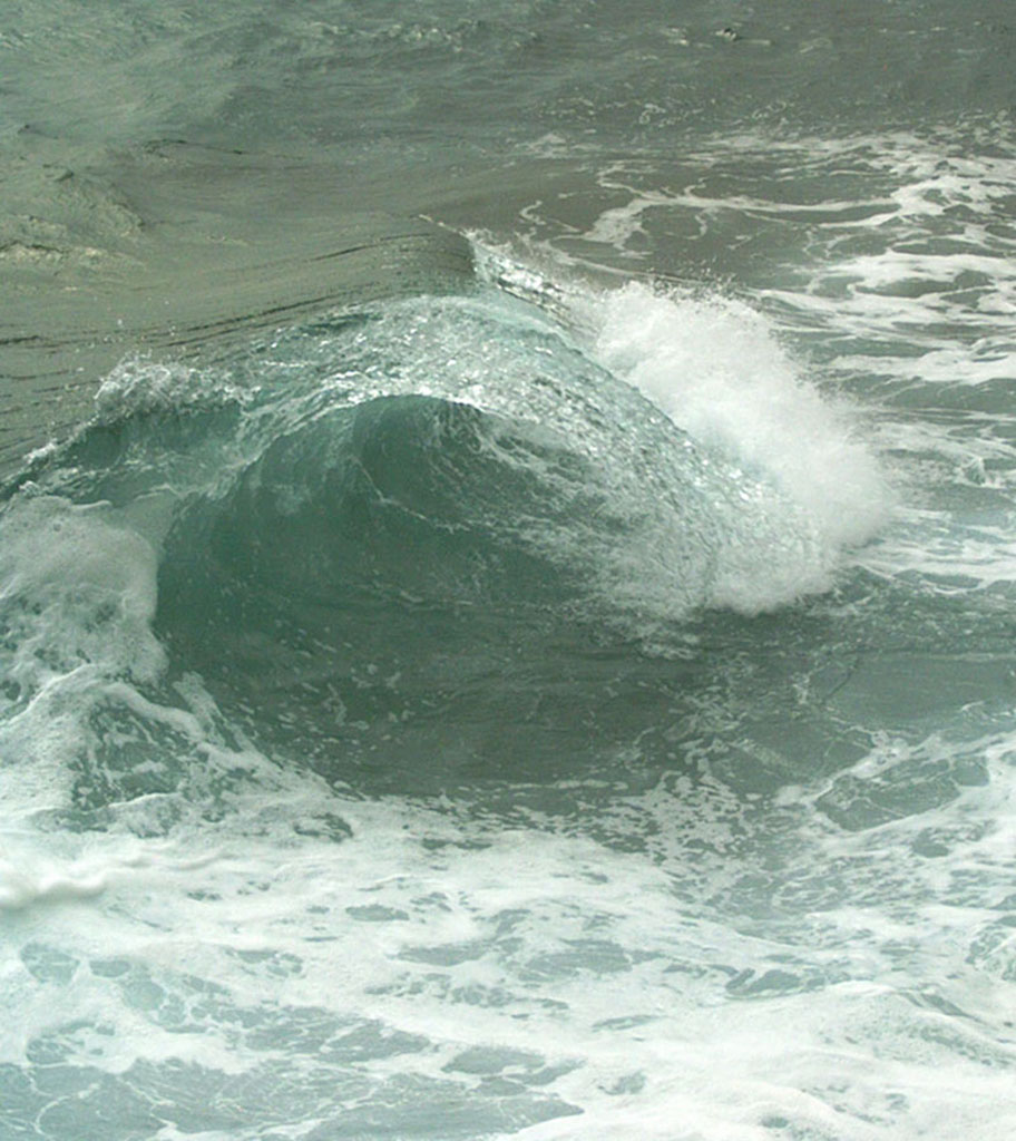 Un mercoled� da leoni