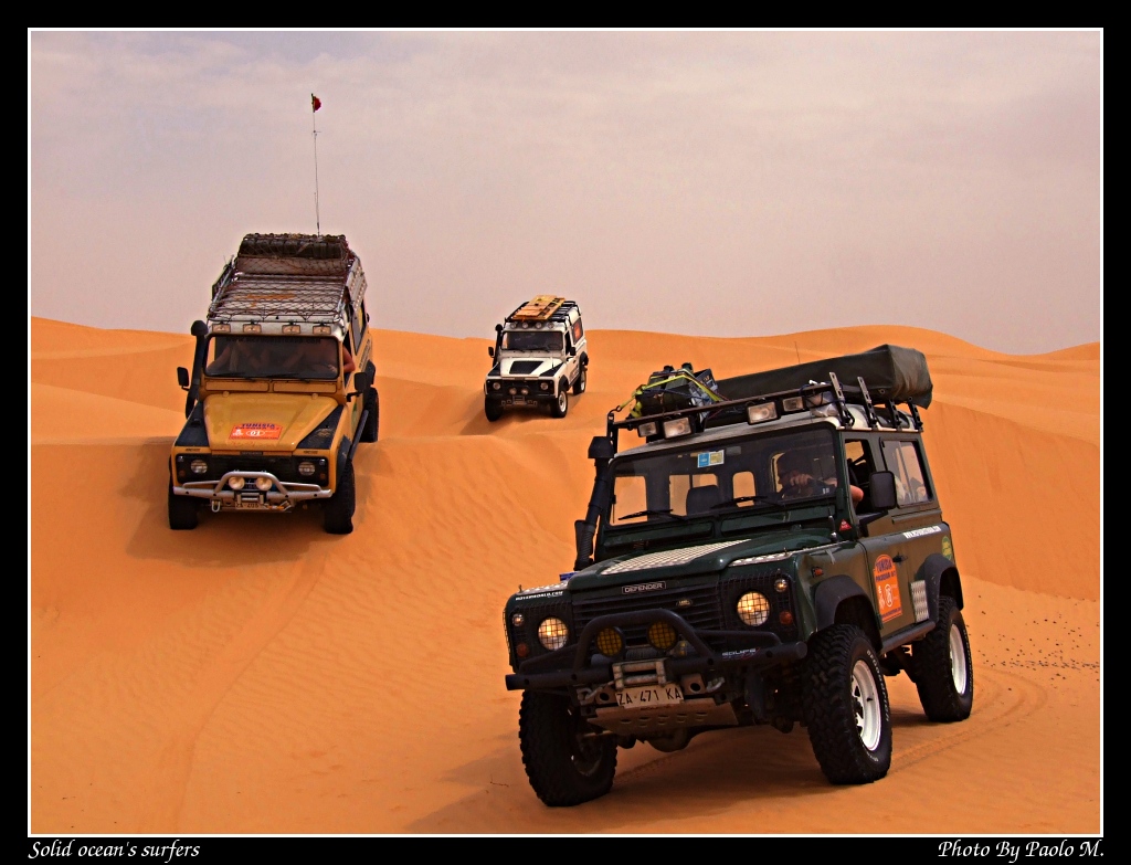 Solid Ocean's Surfers