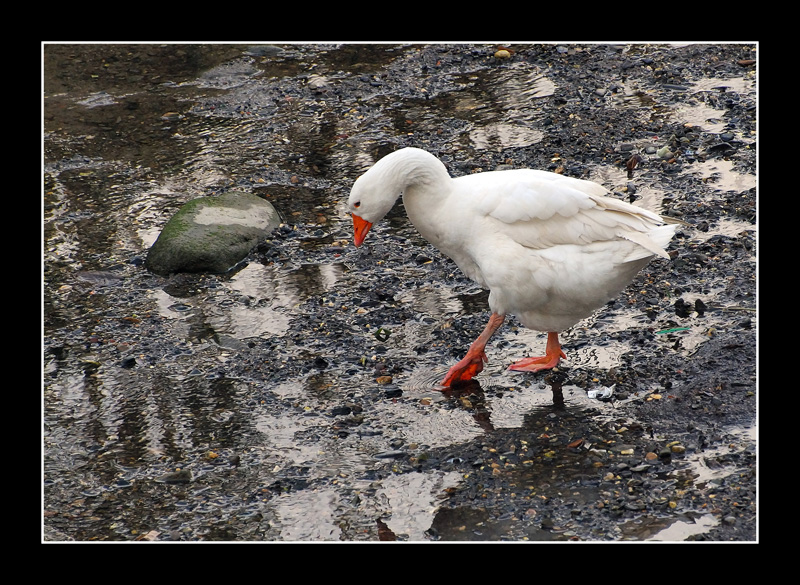 Brr.. che fredda!!!!!