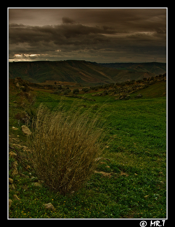 ...tira una brutta aria...