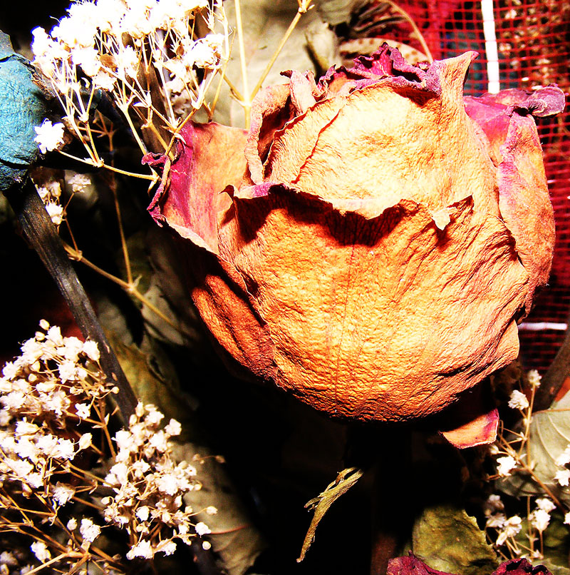 Ricordo di un dono d'amore