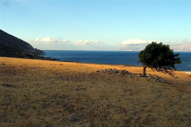 "Piegato dal vento" Creta -Grecia-