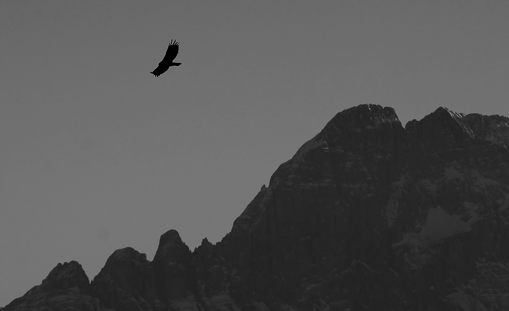 Il senso di libert�